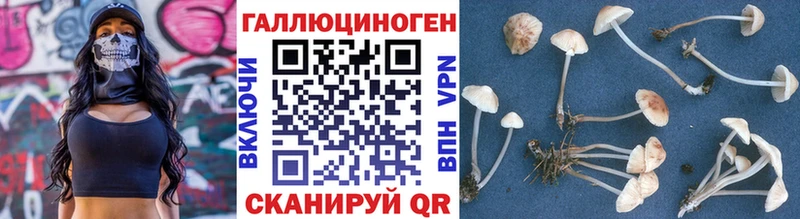 Галлюциногенные грибы мухоморы цены Приозерск